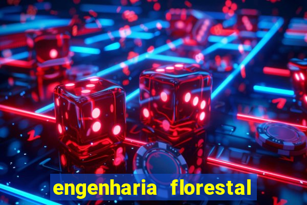 engenharia florestal ead cruzeiro do sul